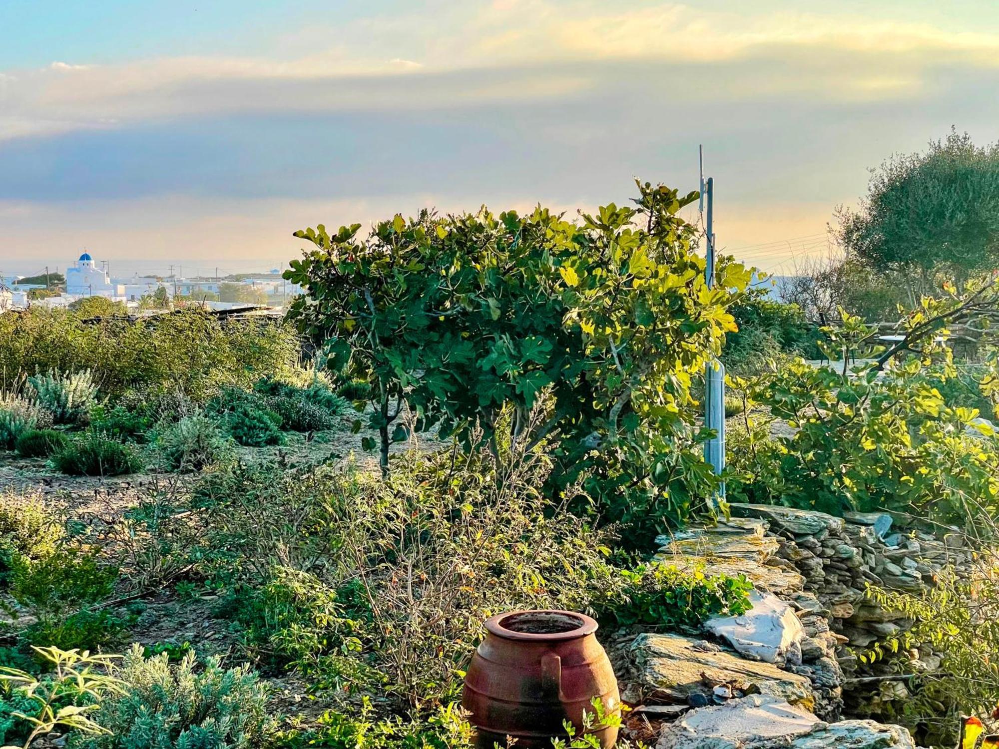 Eco-luxe Retreat In Ano Petali, Sifnos Holiday home Apollonia (Sifnos)