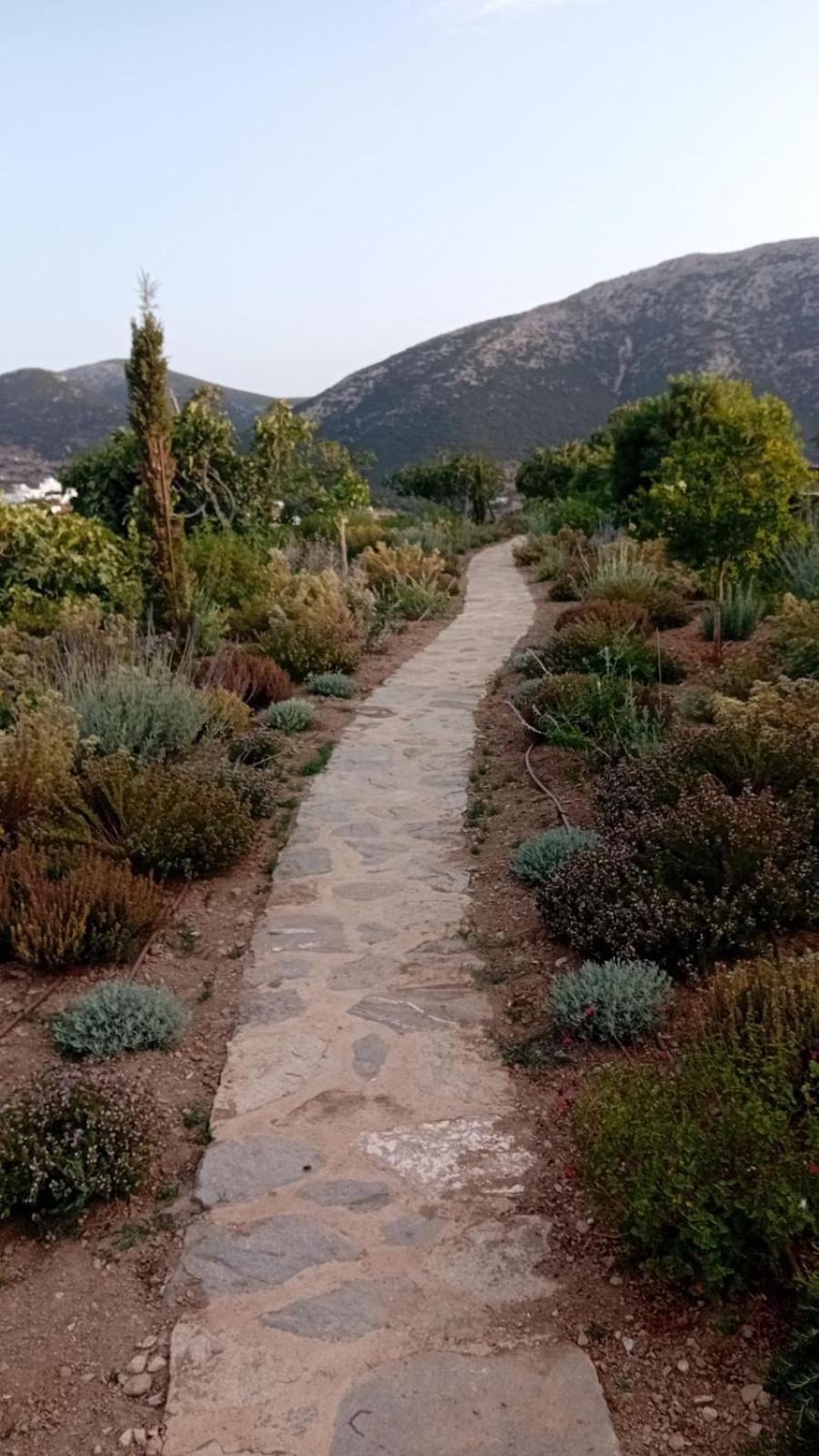 Holiday home Eco-luxe Retreat In Ano Petali, Sifnos *