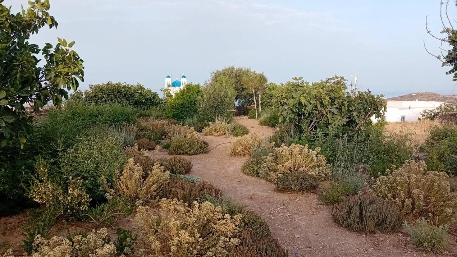Eco-luxe Retreat In Ano Petali, Sifnos Holiday home Apollonia (Sifnos)